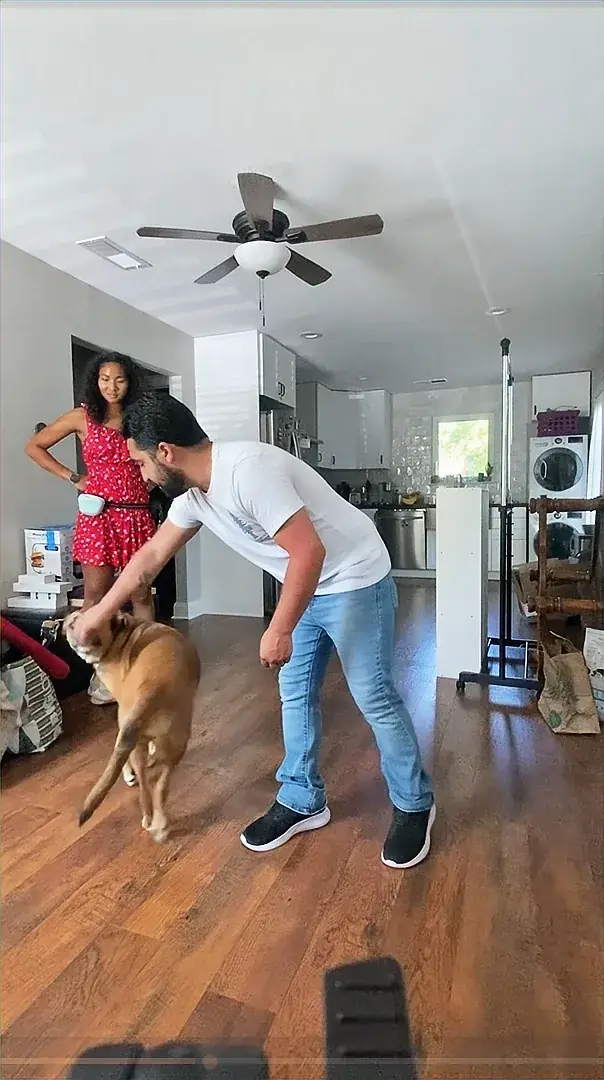 Trainer practicing movement exercises with a brown dog during canine fitness training in Austin