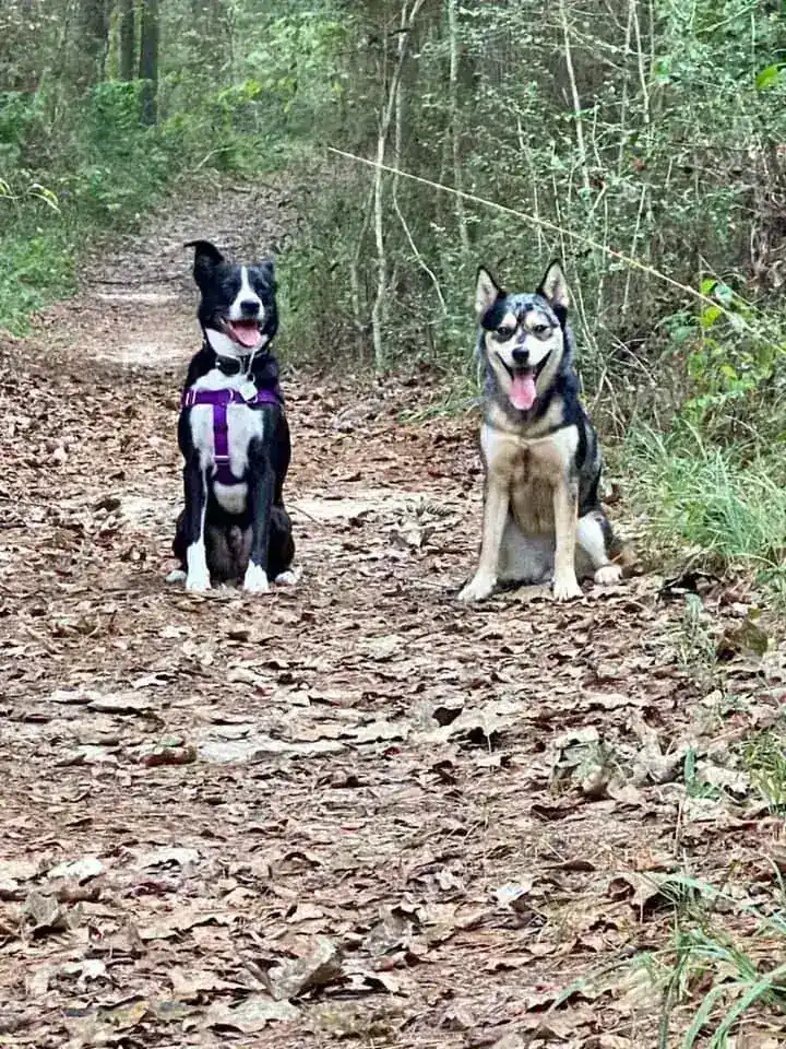 Group Classes in Austin TX
