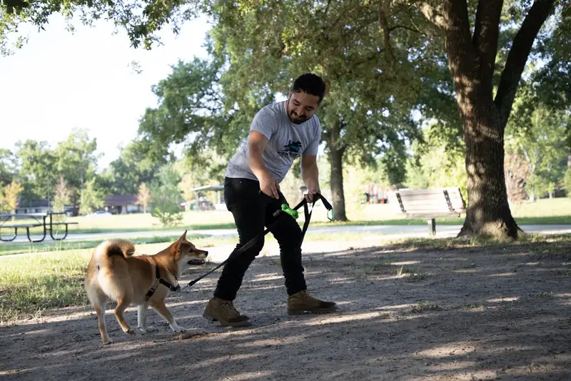 In-Home Dog Training in Austin TX